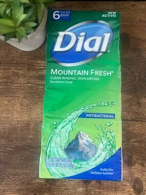 Dial Mountain Fresh Antibacterial Deodorant Bar Soap 6 Pack 3.2oz Discontinued